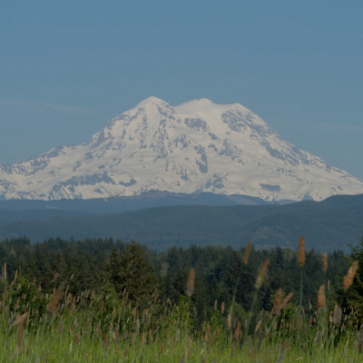 A snow-capped Washington mountain beyond forested hills and a meadow